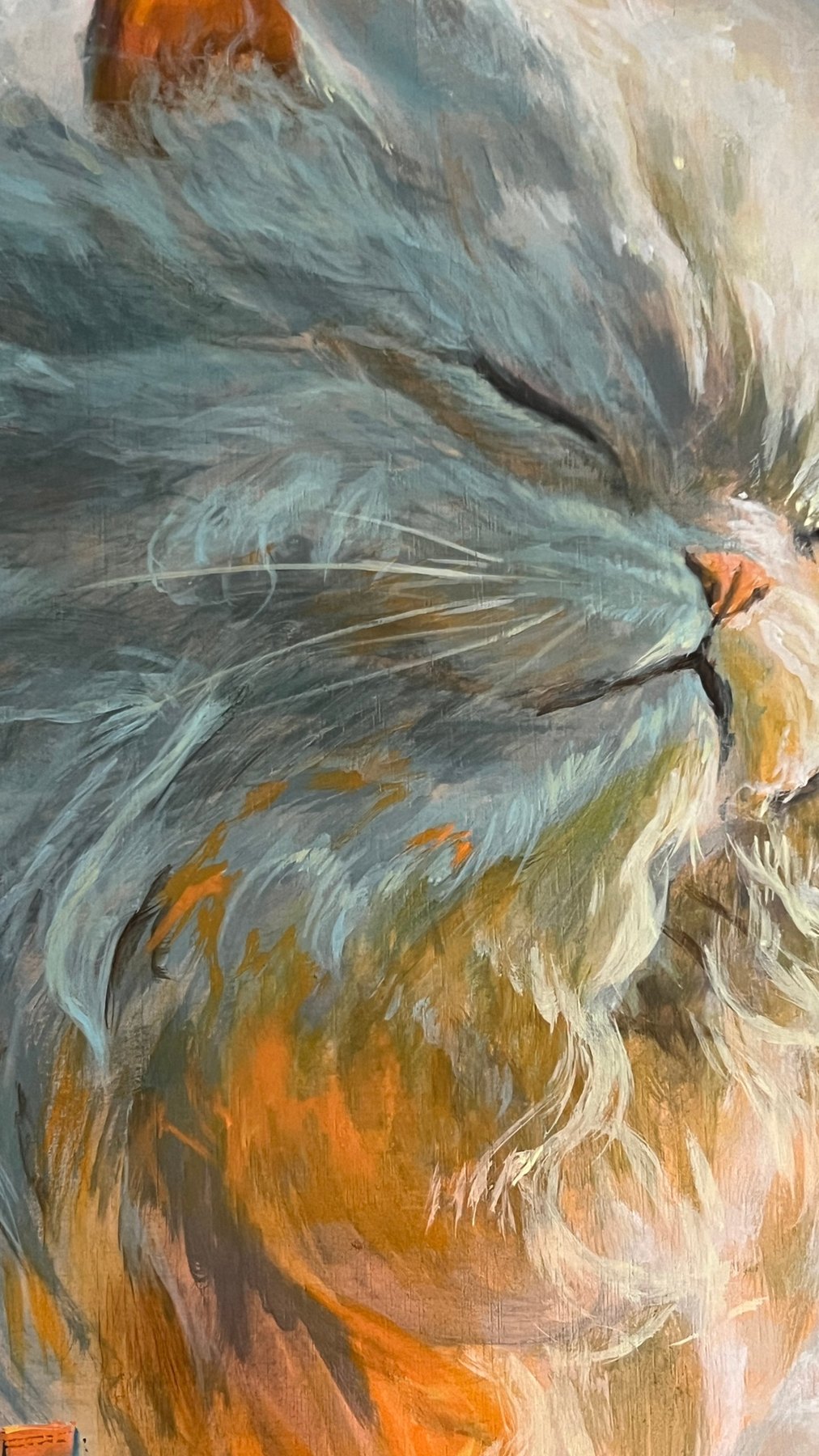 Detalle de Gatonube