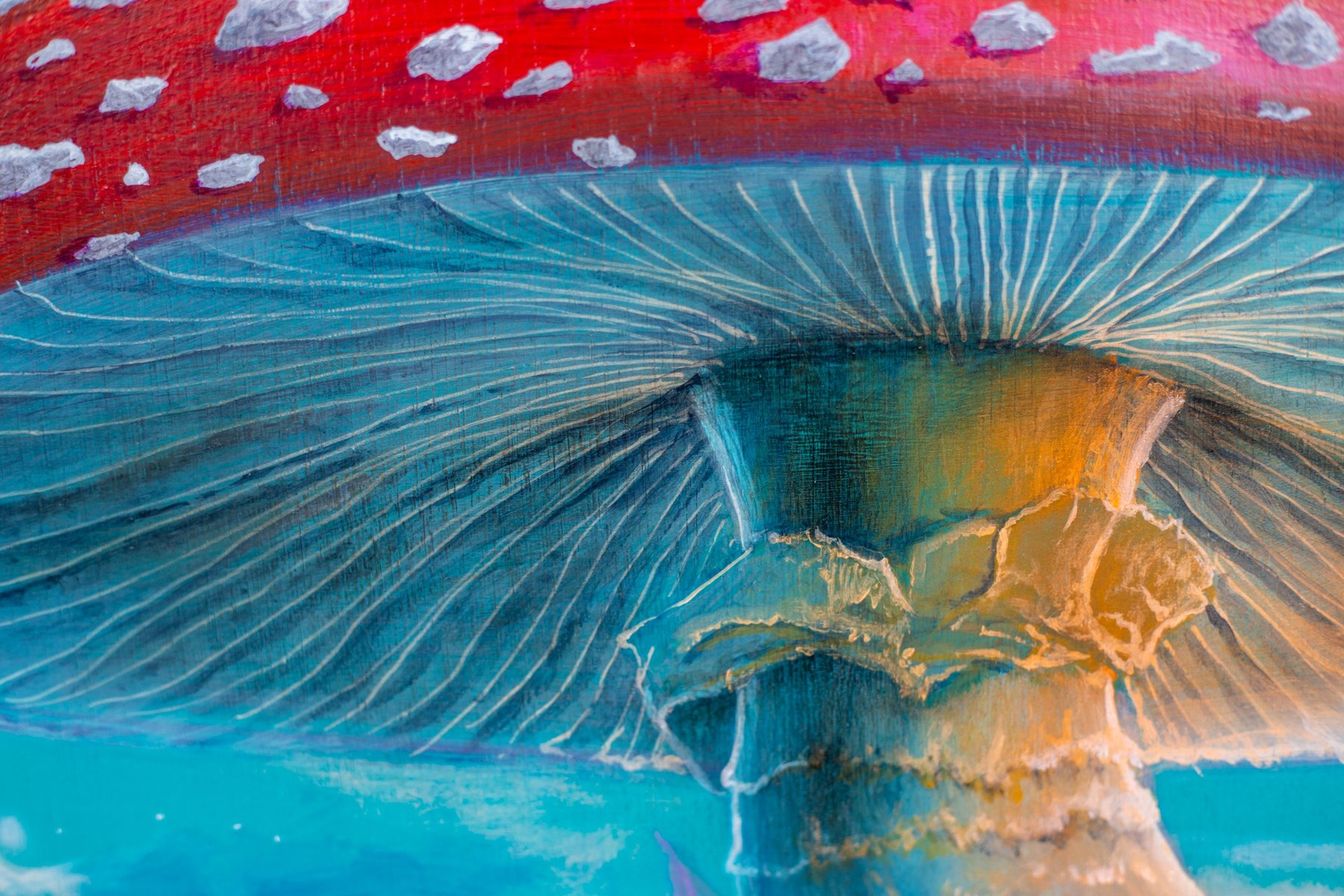 Detalle de 2006