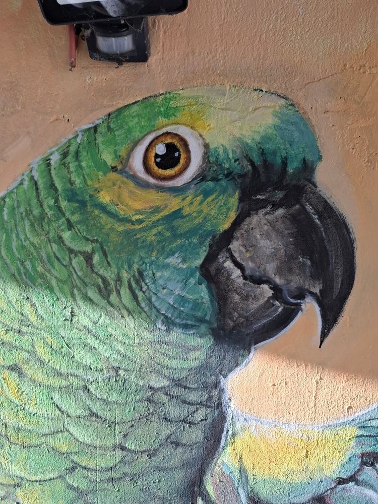 Detalle de Tarzán