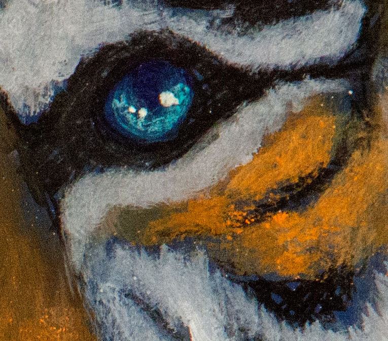 Detalle de Tigris